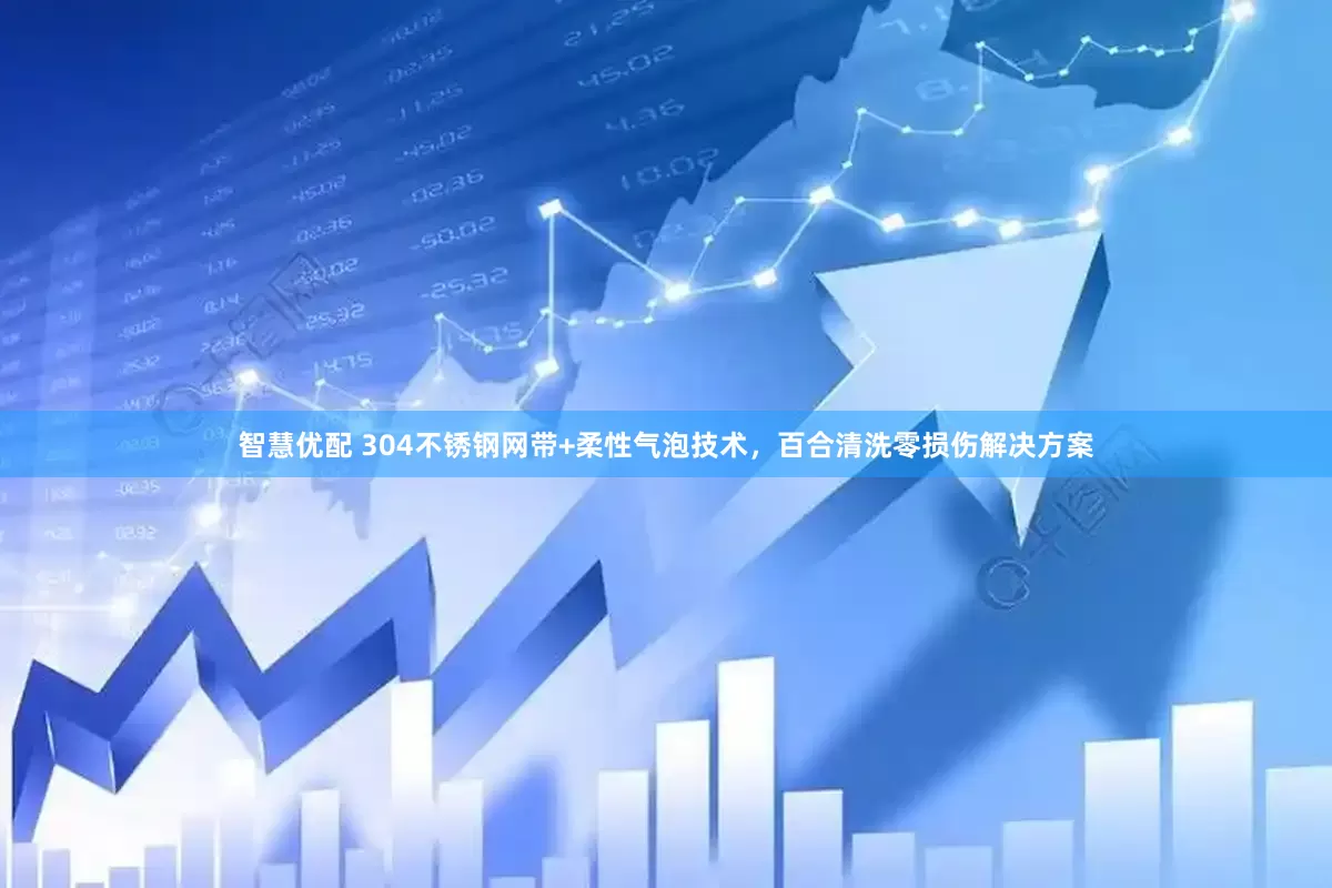 智慧优配 304不锈钢网带+柔性气泡技术，百合清洗零损伤解决方案